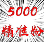 <strong>精准推广 快速引流5000人</strong>