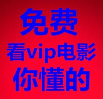 老司机VIP影视群